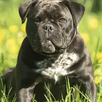 processed/eba4fe62-ddc3-48ca-b434-5e17f0d5ac38/facility/37aaa4fe-eb2f-4fe1-8a6a-f1855b76659d