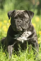 processed/eba4fe62-ddc3-48ca-b434-5e17f0d5ac38/facility/37aaa4fe-eb2f-4fe1-8a6a-f1855b76659d