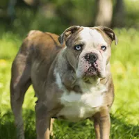 processed/eba4fe62-ddc3-48ca-b434-5e17f0d5ac38/facility/ec1d7f26-ff3f-460f-8d88-3620c3e4a484