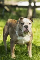 processed/eba4fe62-ddc3-48ca-b434-5e17f0d5ac38/facility/ec1d7f26-ff3f-460f-8d88-3620c3e4a484