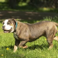 processed/eba4fe62-ddc3-48ca-b434-5e17f0d5ac38/facility/f9bd2272-c08a-4fee-947e-1254eb82a9b3