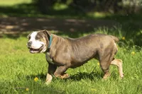 processed/eba4fe62-ddc3-48ca-b434-5e17f0d5ac38/facility/f9bd2272-c08a-4fee-947e-1254eb82a9b3