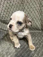 processed/eba4fe62-ddc3-48ca-b434-5e17f0d5ac38/listing/9fcfc294-0d57-4bd5-920f-366367943035/019b43b7-8390-452e-8763-4c6216abdfca