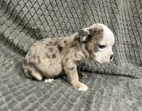 processed/eba4fe62-ddc3-48ca-b434-5e17f0d5ac38/listing/9fcfc294-0d57-4bd5-920f-366367943035/39bd1338-2327-4015-a6fb-891e181e985c