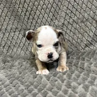 processed/eba4fe62-ddc3-48ca-b434-5e17f0d5ac38/listing/9fcfc294-0d57-4bd5-920f-366367943035/3ab1e736-35e1-4753-8492-a5435d22cdb3