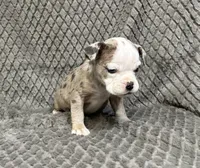 processed/eba4fe62-ddc3-48ca-b434-5e17f0d5ac38/listing/9fcfc294-0d57-4bd5-920f-366367943035/61a84145-df40-4ac2-a07d-627e29b09395