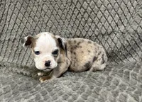 processed/eba4fe62-ddc3-48ca-b434-5e17f0d5ac38/listing/9fcfc294-0d57-4bd5-920f-366367943035/66aa36c0-2a70-4915-9d01-1346b206218a