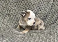 processed/eba4fe62-ddc3-48ca-b434-5e17f0d5ac38/listing/9fcfc294-0d57-4bd5-920f-366367943035/86655b7e-ff82-4d55-bce9-3b890a17a3c8