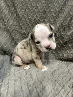 processed/eba4fe62-ddc3-48ca-b434-5e17f0d5ac38/listing/9fcfc294-0d57-4bd5-920f-366367943035/afd52516-1ad8-44bc-ad9c-7a82e9be586e