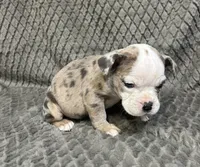 processed/eba4fe62-ddc3-48ca-b434-5e17f0d5ac38/listing/9fcfc294-0d57-4bd5-920f-366367943035/cc48f290-19ca-4874-a32a-31cd3a1f666e