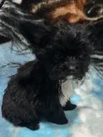 processed/eba61d9b-cc61-4ab8-a0a8-7e4f8f3f8228/listing/61559ed6-c7a9-4fed-981c-8ecc4e88faae/6ecf5441-8f9c-40c0-a8e1-83b3bb5131df