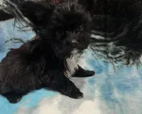 processed/eba61d9b-cc61-4ab8-a0a8-7e4f8f3f8228/listing/61559ed6-c7a9-4fed-981c-8ecc4e88faae/a1649300-c45c-4e7a-843a-068e507e96f8