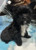 processed/eba61d9b-cc61-4ab8-a0a8-7e4f8f3f8228/listing/61559ed6-c7a9-4fed-981c-8ecc4e88faae/cca84952-f500-4f1c-8007-252ec808d3bc