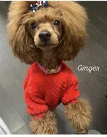 processed/ebad1987-e4fe-4486-9e56-1d092e156bfc/facility/5b34576c-289a-4249-ad64-ed78d3ffa878