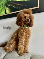 processed/ebad1987-e4fe-4486-9e56-1d092e156bfc/facility/a23be209-7ecc-45d4-b1ae-4b379ece1a1d