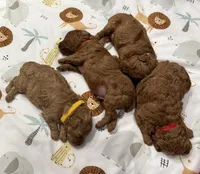 processed/ebad1987-e4fe-4486-9e56-1d092e156bfc/facility/d19ddd29-81f6-47c1-9a94-dd99495612e4