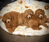 processed/ebad1987-e4fe-4486-9e56-1d092e156bfc/facility/ff8ebe69-ebb9-4576-a658-4869c6917308