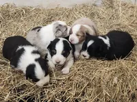 processed/ebb4451c-6a46-4a61-aa61-09d140876e4a/listing/48768cf6-167f-4469-8487-d407b6ea0a61/8f063c44-a732-483e-975b-c2a4c5c40244