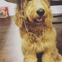 processed/ebb9b08c-9140-4009-b693-a60a4c8079c8/facility/147c5007-f254-48db-91c8-01aeb73d75e9