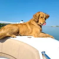 processed/ebb9b08c-9140-4009-b693-a60a4c8079c8/facility/7c1afad7-06f6-4ed5-9110-b97534e18837