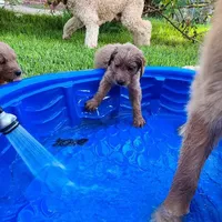 processed/ebb9b08c-9140-4009-b693-a60a4c8079c8/facility/9ef94dcc-dc45-496e-a9c2-6cd627195dbc