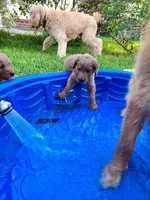 processed/ebb9b08c-9140-4009-b693-a60a4c8079c8/facility/9ef94dcc-dc45-496e-a9c2-6cd627195dbc