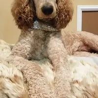 processed/ebb9b08c-9140-4009-b693-a60a4c8079c8/facility/d5d31ba5-da83-47cf-9214-b4188533470e