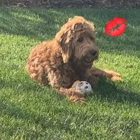 processed/ebb9b08c-9140-4009-b693-a60a4c8079c8/facility/e64078f8-576c-403d-87f6-daf72900dbcb