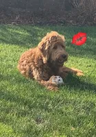 processed/ebb9b08c-9140-4009-b693-a60a4c8079c8/facility/e64078f8-576c-403d-87f6-daf72900dbcb