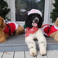 processed/ebb9b08c-9140-4009-b693-a60a4c8079c8/facility/ed240683-6930-4cd1-ab1d-1d7ad204f690