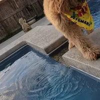 processed/ebb9b08c-9140-4009-b693-a60a4c8079c8/facility/f0fd3f50-1666-489f-aa27-5672b2f4150b