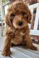 processed/ebb9b08c-9140-4009-b693-a60a4c8079c8/listing/ae074a2d-ec73-47c1-98bd-53fb58805038/d8a24ee1-bc73-4238-92aa-31dbfe92f873