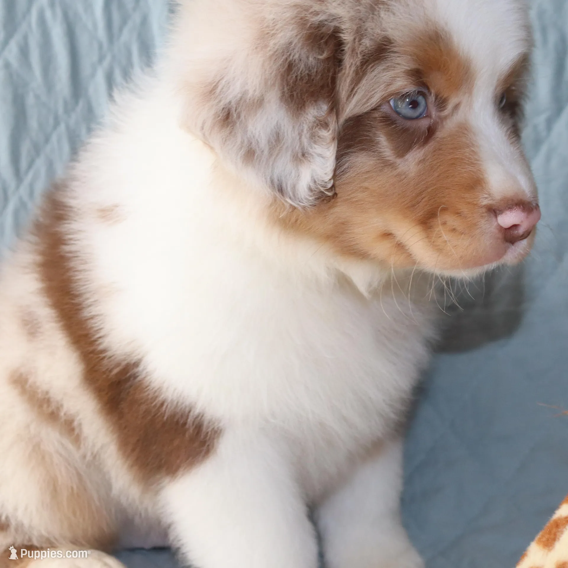 processed/ebbd0ee6-4f4d-49a3-b9ed-3fa6176d315d/listing/4b136d40-ce4f-4a56-bd24-65c541e4693d/320a1687-4b32-421b-bf6e-fca0c4d79ec6