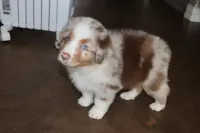 processed/ebbd0ee6-4f4d-49a3-b9ed-3fa6176d315d/listing/4b136d40-ce4f-4a56-bd24-65c541e4693d/37f4ee79-793c-4fb7-8ad1-06ed07662fe5