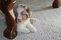 processed/ebbd0ee6-4f4d-49a3-b9ed-3fa6176d315d/listing/4b136d40-ce4f-4a56-bd24-65c541e4693d/dfa3782c-568d-44e0-8e7a-037bd51a1966