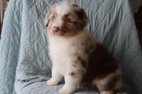 processed/ebbd0ee6-4f4d-49a3-b9ed-3fa6176d315d/listing/4b136d40-ce4f-4a56-bd24-65c541e4693d/f8db54d9-be34-4e14-b7fb-817ca9d807fe