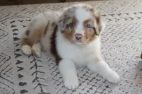 processed/ebbd0ee6-4f4d-49a3-b9ed-3fa6176d315d/listing/4b136d40-ce4f-4a56-bd24-65c541e4693d/ff148595-5016-4362-a4d8-ff8dc94a0baa