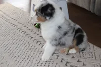 processed/ebbd0ee6-4f4d-49a3-b9ed-3fa6176d315d/listing/8e9fb6ed-6da1-45d6-be5f-a8d0457f879a/49bea817-f22f-4a43-afcf-44e97f4e2eb0