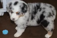 processed/ebbd0ee6-4f4d-49a3-b9ed-3fa6176d315d/listing/8e9fb6ed-6da1-45d6-be5f-a8d0457f879a/631b1638-90c8-43ba-82a0-7c742af834cf