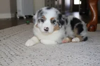 processed/ebbd0ee6-4f4d-49a3-b9ed-3fa6176d315d/listing/8e9fb6ed-6da1-45d6-be5f-a8d0457f879a/8edd2d2c-0b15-4897-88f9-a10cef1dfeac