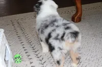 processed/ebbd0ee6-4f4d-49a3-b9ed-3fa6176d315d/listing/8e9fb6ed-6da1-45d6-be5f-a8d0457f879a/973d6ebb-dedc-41a8-93c0-a24be6069bf1