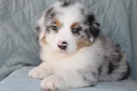 processed/ebbd0ee6-4f4d-49a3-b9ed-3fa6176d315d/listing/8e9fb6ed-6da1-45d6-be5f-a8d0457f879a/a485b454-1d91-4935-be08-d24863d4aed6