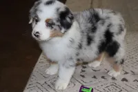 processed/ebbd0ee6-4f4d-49a3-b9ed-3fa6176d315d/listing/8e9fb6ed-6da1-45d6-be5f-a8d0457f879a/cdc239fa-03ef-4738-bb56-fe7012858b55