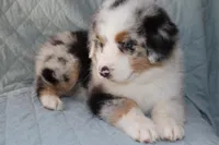 processed/ebbd0ee6-4f4d-49a3-b9ed-3fa6176d315d/listing/8e9fb6ed-6da1-45d6-be5f-a8d0457f879a/feb43871-1895-4b02-b0df-413c482236e9