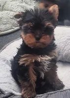 processed/ebc9809b-8bf3-4ee0-a27f-cc7e570bf78e/listing/696ca734-6f0d-4a6e-8eb0-f2a95cfc4a71/e8cd9d9a-7448-44a1-a7c4-c58ca9a2959c