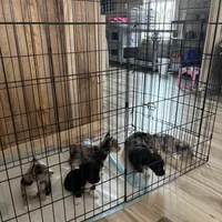 processed/ebcfed44-da64-4900-a409-488a44ad88e9/facility/a3f3f277-0a0e-4f8e-bf9c-3298f554d895