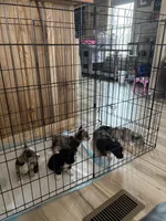 processed/ebcfed44-da64-4900-a409-488a44ad88e9/facility/a3f3f277-0a0e-4f8e-bf9c-3298f554d895