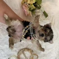 processed/ebd14d27-6636-43fd-9be2-8ffb8396e24f/facility/1bea0808-df7c-4bf7-b908-ce3fcc0c043a