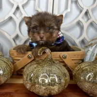 processed/ebd14d27-6636-43fd-9be2-8ffb8396e24f/facility/1f52bcd2-09bf-4cac-afa9-ec454d3916d4