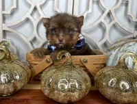 processed/ebd14d27-6636-43fd-9be2-8ffb8396e24f/facility/1f52bcd2-09bf-4cac-afa9-ec454d3916d4